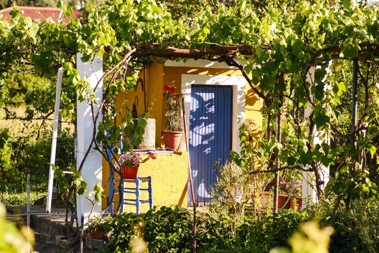 Villa Sandra Litheres 外观 照片